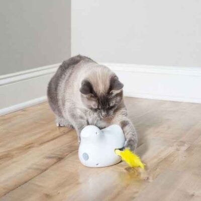 Pet Toys PetSafe  | Peek-A-Bird™ Electronic Cat Toy