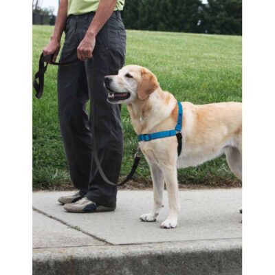 Training Systems PetSafe  | Easy Walk® Deluxe Harness