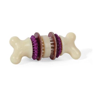 Pet Toys PetSafe  | Busy Buddy® Bristle Bone®