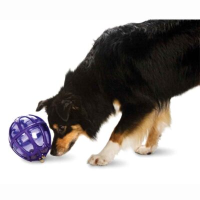 Pet Toys PetSafe  | Busy Buddy® Kibble Nibble™ Feeder Ball