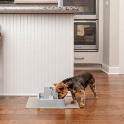 Water Fountains & Feeders PetSafe  | Drinkwell® 1.8 Litre Pet Fountain