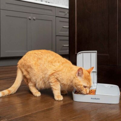 Water Fountains & Feeders PetSafe  | Automatic 2 Meal Pet Feeder