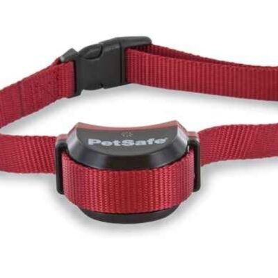 Accessories PetSafe  | Stay & Play® Wireless Fence Stubborn Dog Add-A-Dog® Extra Receiver Collar