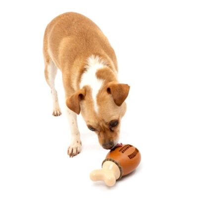 Pet Toys PetSafe  | Chompin’ Chicken Treat Ring Dog Toy