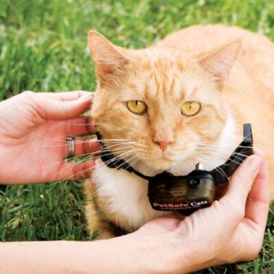 Containment Systems PetSafe  | Deluxe In-Ground Cat Fence™ System